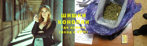 PSILOCYBIN Богданович