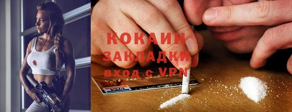 мдпв Богородск
