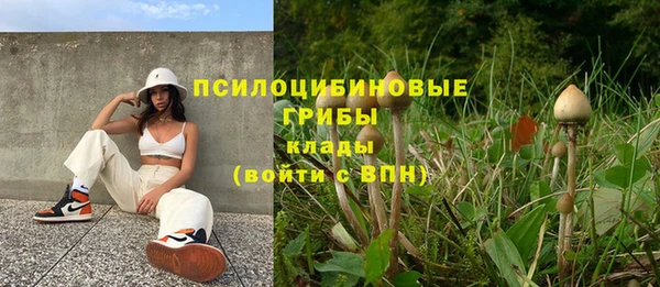 PSILOCYBIN Богородицк