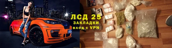 PSILOCYBIN Богородицк
