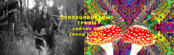 мдпв Богородск