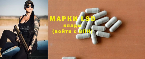 PSILOCYBIN Богородицк