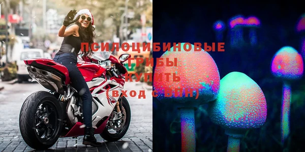 мдпв Богородск