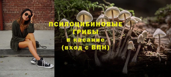 PSILOCYBIN Богородицк
