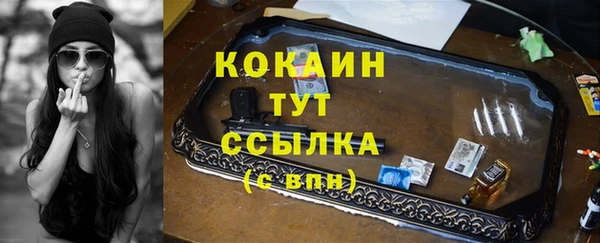 мдпв Богородск