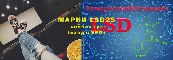 PSILOCYBIN Богородицк
