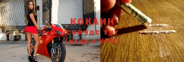 PSILOCYBIN Богородицк