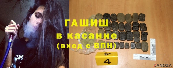мдпв Богородск